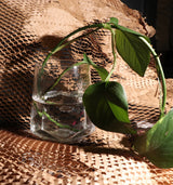 Great Fool -Lock Stock & Smoky Quartz - Crystal candle