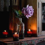 Southern Wild Co - Our Place